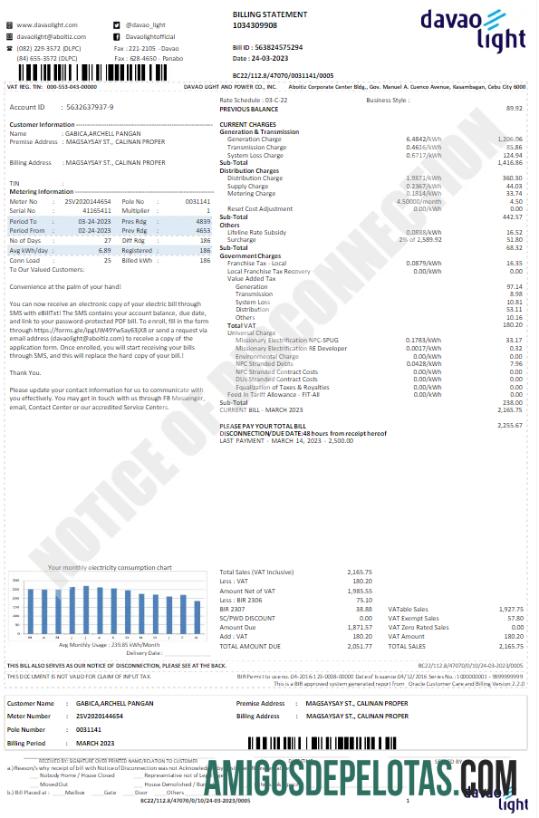 Em branco modelo Word e PDF de conta de serviços públicos DAVAO LIGHT dos EUA